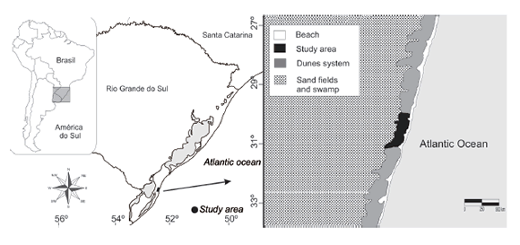  (A)
Geographical distribution of the &ldquo;tuco-tuco-das-dunas&rdquo; (Ctenomys flamarioni)
along the seashore of Rio Grande do Sul, southern Brazil; (B) characteristics
of the coastal dune system around the study area within the Taim Ecological
Station (ESEC-Taim).