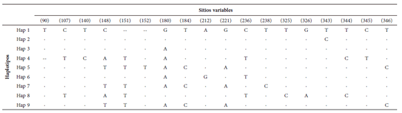 Detalle de los haplotipos y sitios variables tomando
como referencia las posiciones del haplotipo GenBank JF30910 (Zalewski et al.
2011). (--) indica indels.