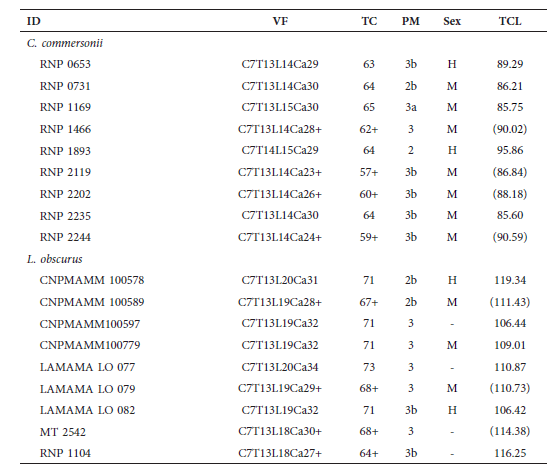 Specimens of Commerson&rsquo;s dolphin (Cephalorhynchus
commersonii) and dusky dolphin (Lagenorhynchus obscurus) included in
this study. ID: specimen collection number; VF: traditional vertebral formula;
TC: total count; PM: Physical maturity; TCL: total centrum length in cm;
F: female; M: male; -: indeterminate; +: incomplete
skeleton. TCL estimated from regression equations are shown between
parenthesis. RNP and MT: Museo Acatush&uacute;n de Aves y Mam&iacute;feros Marinos Australes, Ushuaia,
Argentina. CNPMAMM and LAMAMA: Centro Nacional
Patag&oacute;nico, Puerto Madryn, Argentina.
