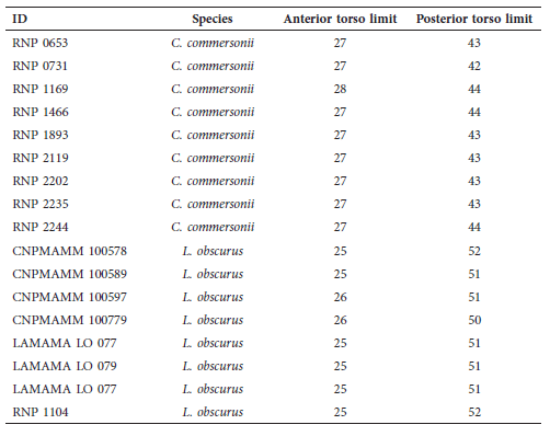 Vertebra on which there is a shift of neural
spine inclination in Cephalorhynchus commersonii and Lagenorhynchus
obscurus. Anterior torso limit: shift from a posterior towards anterior
inclination; Posterior torso limit: shift from an anterior towards a posterior
inclination.