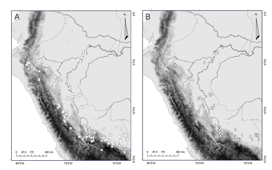 Mapas
de los especímenes de Carollia examinados: A) C. manu (triángulos),
C. brevicauda (círculos) y C. perspicillata (cuadrados), y B) C.
benkeithi (rombos) y Carollia sp. (pentágonos). Datos de localidad
se muestran en el Apéndice 1.