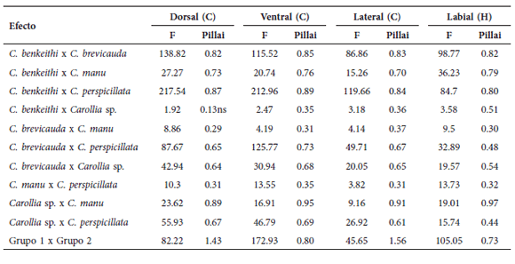 Valores de F del MANOVA y de la traza de
Pillai de las variables de la forma del cráneo (C) en las tres vistas analizadas
y de la hemimandíbula izquierda (H) en vista labial de las especies peruanas de
Carollia. Nivel de significancia: p < 0.05,
los valores no significativos se muestran con ns.