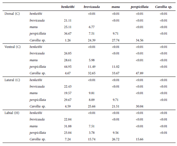 Distancias Mahalanobis (D2)
(diagonal inferior) de los centroides y p-valores de Hotelling (p<0.05)
(diagonal superior) de las especies de Carollia analizadas en las vistas
dorsal, ventral y lateral del cráneo (C) y hemimandíbula izquierda (H) en vista
labial.