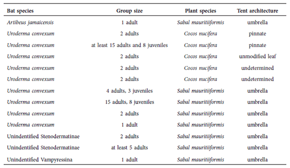 Bat species, group size, plant species, and type of
tents recorded.