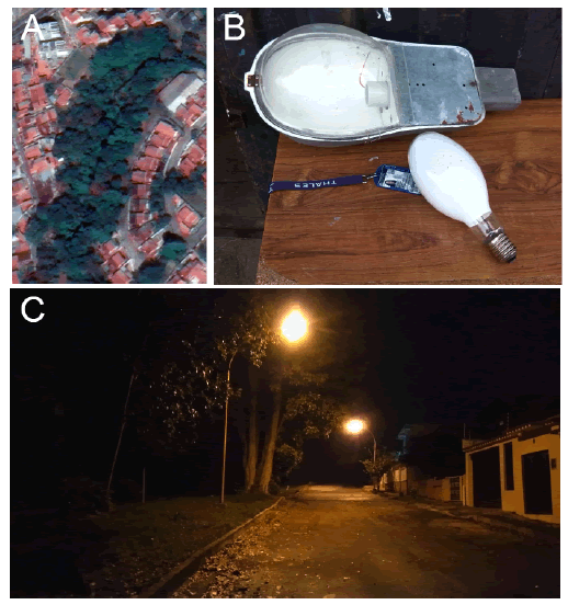 (A) Image
of the study site, a secondary growth forest patch on a side of a street (08&deg; 34&acute; N,
71&deg; 11&acute; W, 1350 m a.s.l.) from Urbanizaci&oacute;n Belensate in M&eacute;rida, Venezuela,
obtained through Google earth; (B) high pressure sodium lamps used for
artificial lighting (ID card used as size reference); (C) La Estancia street,
subject to unexpected illumination.
