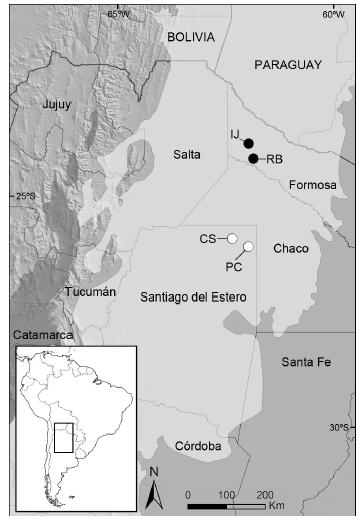 Mapa
del noroeste de Argentina con indicaci&oacute;n de las nuevas localidades de registro
para Monodelphis dom&eacute;stica (c&iacute;rculos blancos: CS = Cabur&eacute; Sur; PC = Parque
Provincial Copo) y las reportadas previamente en la literatura (c&iacute;rculos
negros; IJ = Ingeniero Ju&aacute;rez; RB = R&iacute;o Bermejito, Paso de los Coyas, Reserva
Natural Formosa). El color gris claro sobre el mapa corresponde a la ecorregi&oacute;n
del Chaco Seco.