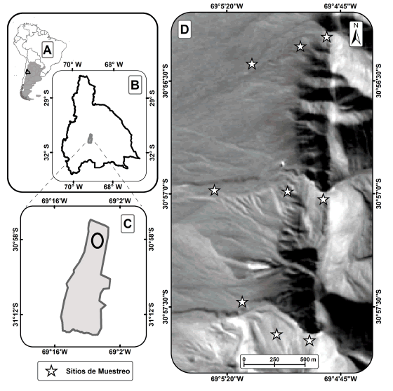 Ubicación del área de estudio situada en la Puna Desértica de la provincia de San Juan. A) Sudamérica (en gris Argentina); B) San Juan; C) Reserva de Usos Múltiples Don Carmelo; D) Sitios de muestreo.