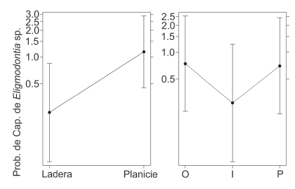 Gráfico del modelado de la abundancia de Eligmodontia sp. por ambiente (la estación del año no fue significativa) para la Puna Desértica, Reserva de Usos Múltiples Don Carmelo, San Juan. Las líneas verticales representan el intervalo de confianza del 95%.