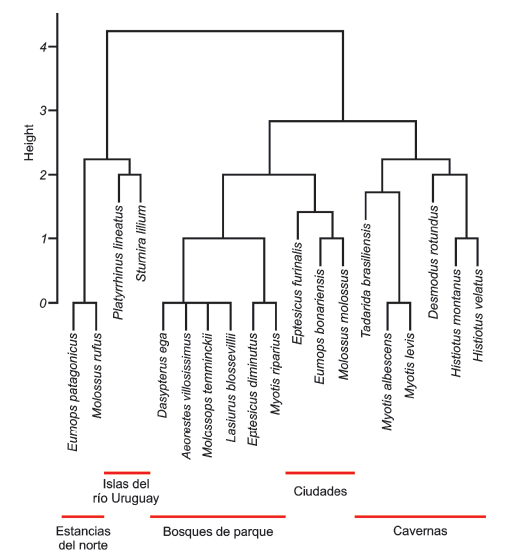 An&aacute;lisis de agrupamiento de las 19 especies estudiadas en relaci&oacute;n a la definici&oacute;n de los objetos focales de conservaci&oacute;n. Consideramos el uso de h&aacute;bitat, la alimentaci&oacute;n, el estado de conservaci&oacute;n y la susceptibilidad a amenazas.