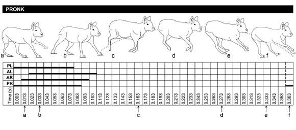 Pronk in maras. References as in Fig. 3.