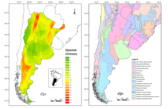 Map of Argentina depicting species richness of sigmodontine rodents (left) and ecoregions according to Olson et al. 2001 (right).