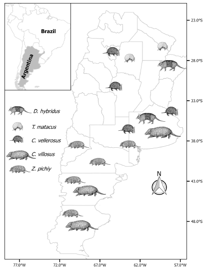 Regions where armadillos samples were collected. Illustrations modified from D&iacute;az and Barquez (2002) and Parera & Erize (2002).