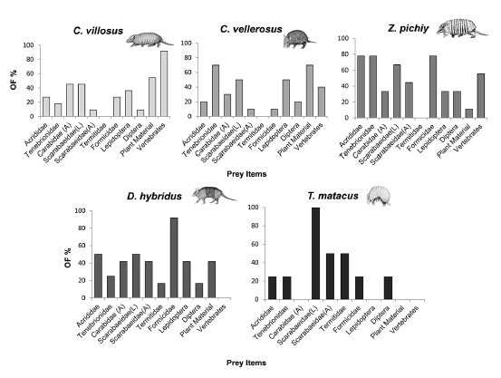 Principal food items of five armadillo species of Argentina. (L): Larvae; (A): Adult. Illustrations modified from D&iacute;az & Barquez (2002) and Parera & Erize (2002).
