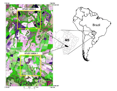 Location and land use of the study sites. Upper right: South America indicating the position of the Mato Grosso do Sul state (MS) (light grey) in midwestern Brazil. Center: Rio Brilhante city in MS. Left: Satellite image of the two study sites (Universal Transverse Mercator system (UTM), zone 21k).