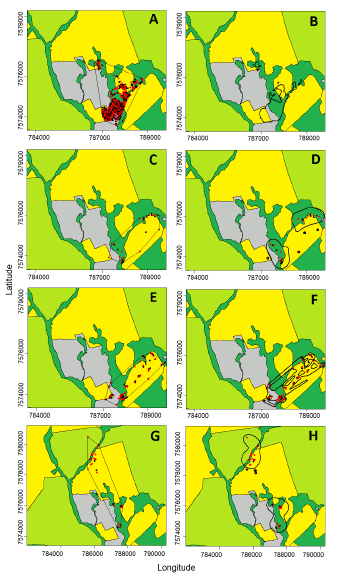 Estimated ranges and relocations of four wild boars in study area 1, in midwest Brazil, from October 2014 to August 2015. Left column: ranges estimated using the Minimun Convex Polygon method. Right column: ranges estimated using the Biased Random Bridge Kernel method. Black dots represent locations taken during daylight period while red dots represent night locations. We omitted the dots in panel B to facilitate the visualization. Panels A and B refer to the subadult male J 2, panels C and D to the female J 4, panels E and F to the female J 5, and panels G and H to the male J 10 (see Table 1). Dark green represents riverine forests and their adjacent wetlands, light green represents sugarcane plantations, yellow represents grain crops, and grey represents pastures. Grids are presented in Universal Transverse Mercator system (UTM), zone 21k.