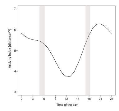 Estimated activity of three wild boars, indexed by the square root of the distance moved between consecutive locations, as a function of the time of the day. These wild boars were GPS-monitored for 19-39 days from October 2014 to January 2016 in agroecosystems of Midwest Brazil. Grey bands represent the range of sunset and sunrise hours throughout the study period (see text).