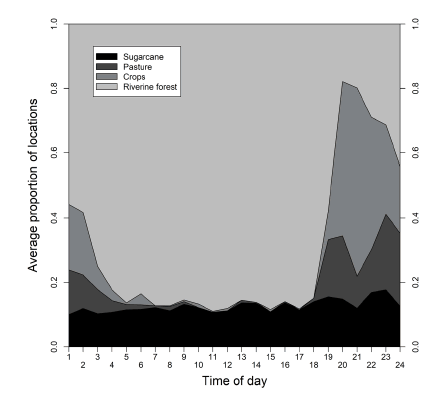 Time budget displaying the proportion of locations among four habitat categories throughout the hours of day for the three wild boars monitored with GPS collars for 19-39 days from October 2014 to January 2015 in agroecosystems of Midwest Brazil.