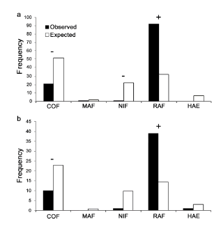 Observed and expected frequency of wild boar rooting in each habitat type, excluding those highly available and poorly used during a) the cold season, and b) the warm season. BAF: coihue forest; MAF: maiten forest; NIF: &ntilde;ire forest; HAE: high Andean steppe; RAF: radal forest. Habitat selection (+) and avoidance (-) are indicated above the bars.