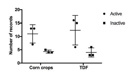 Mean number and standard error of active and inactive burrows observed in corn crops and TDF.
