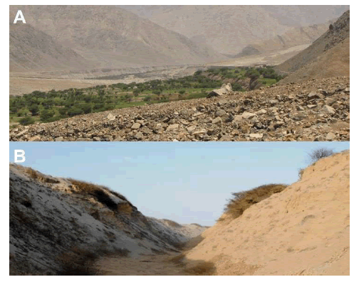 Landscapes of new records of Tomopeas ravus: A. Ocoña valley, Arequipa, southern Peru; B. Alto Talara, Piura, northern Peru. Photograph by A. Escóbar and K. Pino.