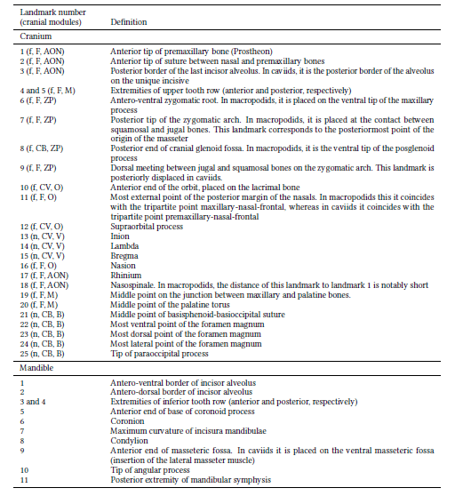 Definition of landmarks used to represent cranial and mandibular shape of macropodids and caviids. Numbers correspond to those depicted in Fig. 1. Three cranial-modules models were confronted through an EMMLi analysis: a two-module model that includes facial (f) and neurocranial (n) modules, a three-module model that includes face (F), cranial base (CB), and cranial vault (CV), and a six-module model that involves anterior oral-nasal (AON), molar (M), orbit (O), zygomatic-pterygoid (ZP), vault (V), and basicranium (B) modules.
