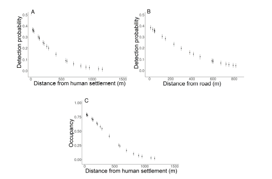 Detection and occupancy probabilities of domestic dog in the Mata das Flores State Park, Espírito Santo, Brazil. Estimated effect of (A) distance from human settlement and (B) distance from road on the detection probability, and (C) the distance from human settlement on the occupancy probability.