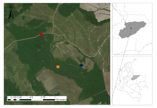 Mapa del área de estudio. Reserva Natural La Palmita, departamento de Casanare, Colombia. Marca roja: paso de fauna (5°25’20.2"N; 71°36’11.6"W); marca naranja: bosque seco tropical (5°24’57.5"N, 71°35’56.5"W); marca azul: transición 
