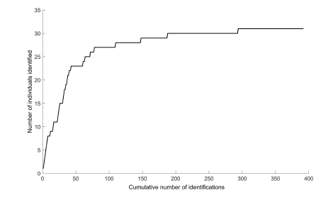 Discovery curves showing the cumulative number of individuals identified with increasing effort indicated by the cumulative number of dolphins photo-identified (including re-identifications) from encounters on 75 days, between 2007 and 2009.