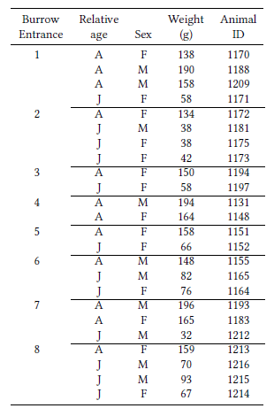 Summary of captures at 8 burrow entrances at which multiple C. rionegrensis were caught. For each individual captured, relative age (A = adult, J = juvenile), sex (F = female, M = male), and body weight in grams are reported, as is the identification number (ID) given to each animal.