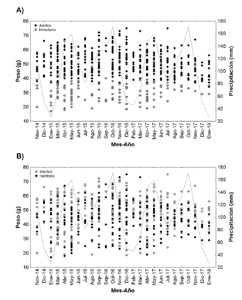 Distribución de individuos capturados de Rhipidomys fulviventer a lo largo del tiempo. (A) adultos e inmaduros(sub-adultos y juveniles), (B) machos y hembras. 