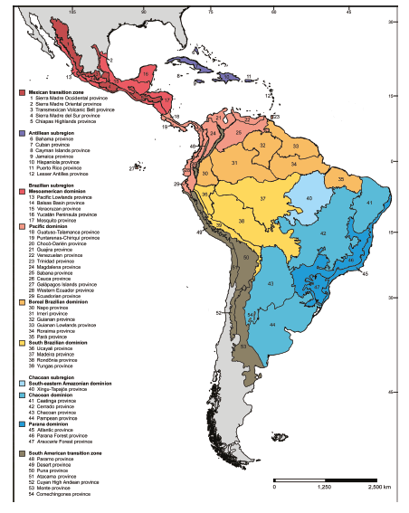 Regionalization of the Neotropical region (modified from Morrone 2017).