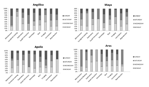 Relative frequency of the different behavioral categories presented by jaguars between the different sample groupings.
