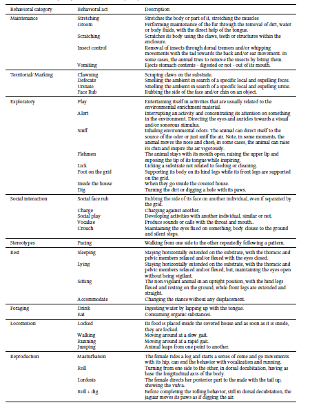 Behavioral repertoire of the jaguars at the Municipal Zoo of Curitiba (adapted from Silverio (2015) and Stanton et al. (2015).