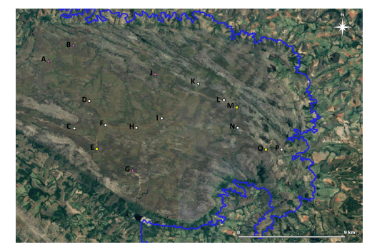 Study region at the Serra da Canastra National Park, MG/Brazil. Yellow squares indicate autonomous recorder (SongMeter SM2+) sites used only in 2014, pink triangles sites used only in 2016, and white circles sites used in both years.
