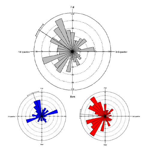Maned wolf roar-bark sequences distribution over the lunar phases (gray = total). Records were made from April to July in 2014 (blue) and from March to June in 2016 (red) with a grid of 12/13 autonomous recorders (Song Meter SM2+) at Serra da Canastra National Park, MG/Brazil. The radial line represents the mean angle and the concentric bar at the end of the line the 95% confidence interval.