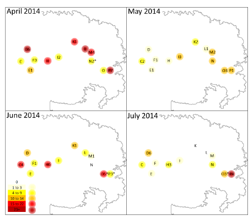 Maned wolf roar-bark sequences recorded passively with 12 autonomous recorders (Song Meter SM2+) at Serra da Canastra National Park, MG/Brazil (gray contour). Circles have approximately 0.5 km radius with the center point being the recorder site. Heat colors represent the intensity of vocal activity (number of sequences). Letters indicate the site name and numbers following them on the circles indicate the amount of group vocalizations. * Indicate at least one sequence involved 3 animals (otherwise group vocalizations involve 2 animals).