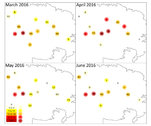 Maned wolf roar-bark sequences recorded passively with 13 autonomous recorders (Song Meter SM2+) at Serra da Canastra National Park, MG/Brazil (gray contour). Circles have approximately 0.5 km radius with the center point being the recorder site. Heat colors represent the intensity of vocal activity (number of sequences). Letters indicate the site name and numbers following them indicate the amount of group vocalizations (sequences involving 2 animals).
