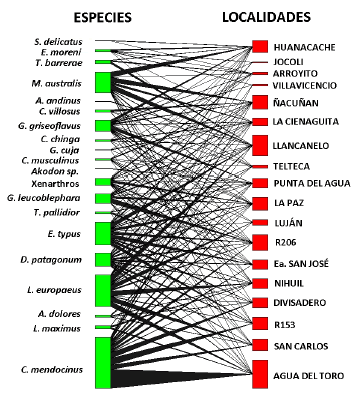 Red de organizaci�n de mam�feros/localidades del Monte de Mendoza. En rojo, se presentan las localidades, y en verde, las especies registradas. El tama�o de cada caja representa el n�mero de individuos total, por localidad o por especie seg�n el caso. El grosor de las l�neas negras representa el aporte relativo de cada especie a cada localidad.