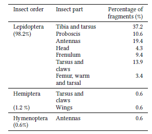 Food items found in the diet of Mormoops megalophylla at Macaregua cave (Santander, Colombia).
