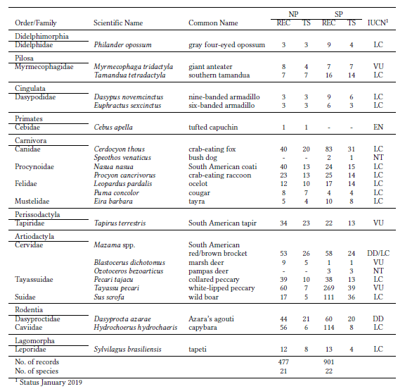 List of species recorded at camera-trap stations in the Northern Pantanal (NP) and the Southern Pantanal (SP) with corresponding number of independent records (REC), number of trap stations at which the species were recorded (TS) and IUCN red list status (downloaded June 17, 2019). Nomenclature follow Wilson & Reeder 2005 (downloaded June 17, 2019). South American red and brown brocket were treated as one species due to identification problems on infrared night shots.