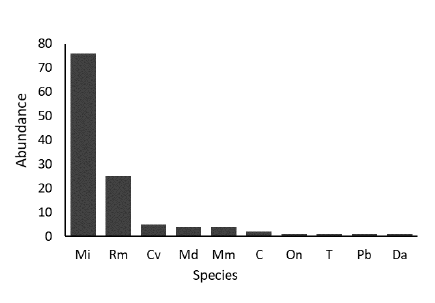 Abundance of small mammal  species captured in Santa Isabel Biological Reserve,  Sergipe,  Brazil (total trapping effort = 9970 trap-nights). Mi) Marmosops incanus; Rm) Rhipidomys mastacalis; Cv) Cerradomys vivoi; Md) Marmosa demerarae; Mm) Marmosa murina; C) Calomys sp.; On) Oligoryzomys nigripes;  T)  Trinomys  sp.; Pb) Phyllomys blainvilii; Da) Didelphis albiventris.