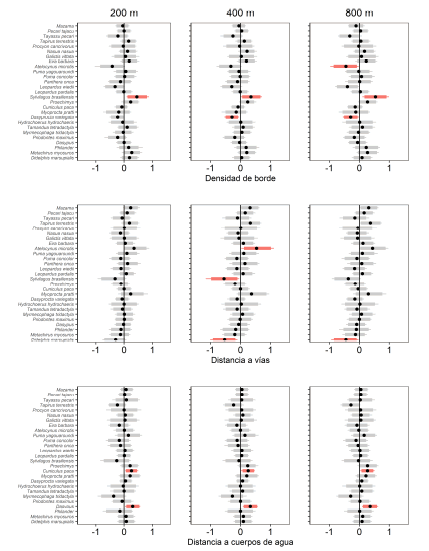 Respuesta de la probabilidad de ocupaci�n (Ω) a las covariables de sitio (densidad de borde y distancia a v�as) y de la probabilidad de detecci�n (p) a la distancia a cuerpos de agua a nivel de especie. El punto indica la media, las barras anchas y delgadas indican los intervalos cre�bles al 95% y 90% respectivamente. Efectos significativos en color rojo.