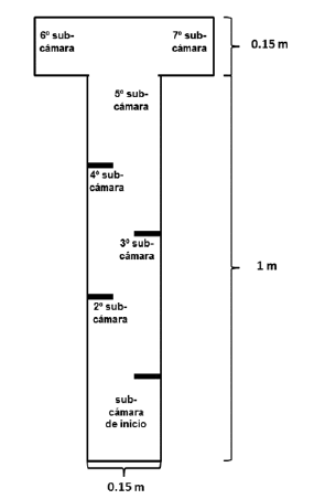 Cámara de desplazamientos de acrílico transparente, para el estudio de exploración en Calomys musculinus.