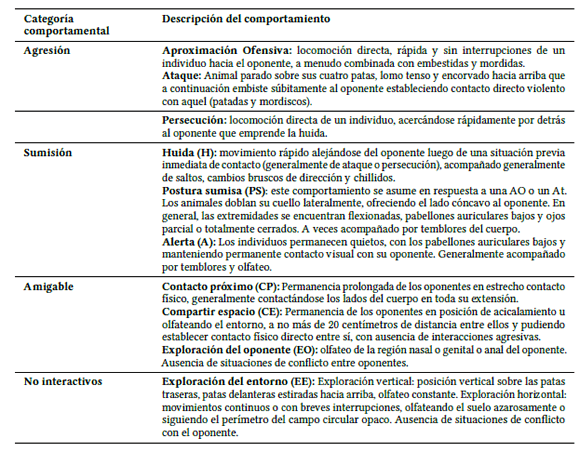Comportamientos observados en machos de Calomys musculinus durante los enfrentamientos intrasexuales.