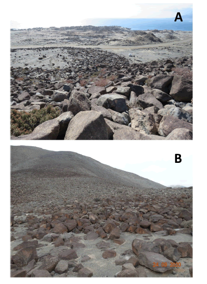 Ambiente del sitio de estudio. Se observa el roquedal y la escasa vegetacin donde se hicieron los registros. Vista desde la mitad de la ladera hacia el mar, donde se observa la ruta 1 y al fondo el ocano Pacfico (A), y vista desde la carretera hacia el cerro (B).