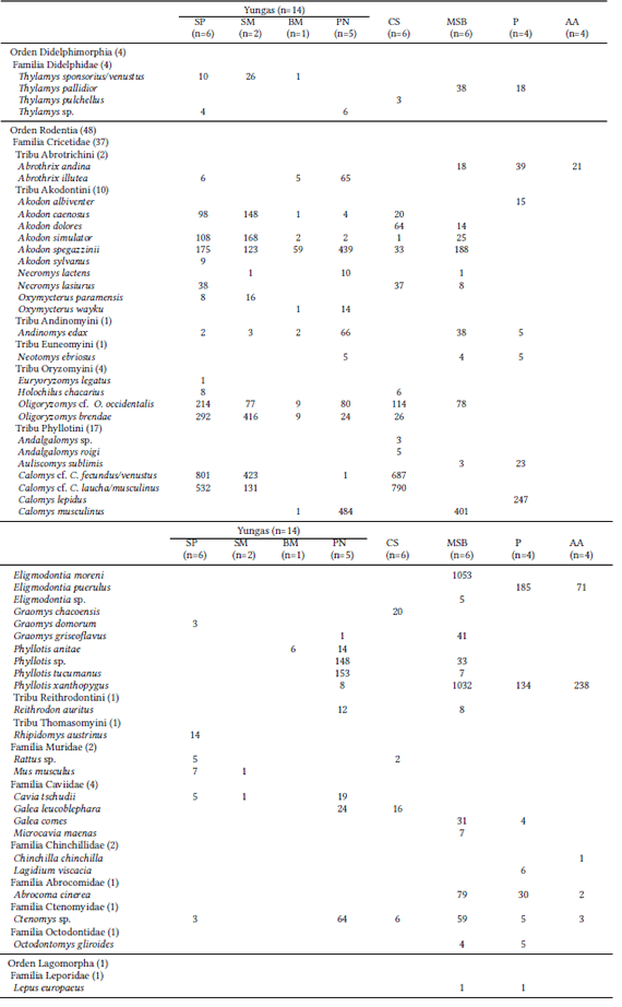 Lista de especies de peque�os mam�feros registradas en las 34 localidades de muestreo, n= n�mero de localidades en cada ecorregi�n. [SP]: Selva Pedemontana, [SM]: Selva Montana, [BM]: Bosque Montano, [PN]: Pastizales de Neblina, [CS]: Chaco Seco, [MSB]: Monte de Sierras y Bolsones, [P]: Puna, [AA]: Altos Andes.