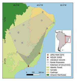 Updated extent of occurrence and range expansion of Cryptonanus agricolai to the Atlantic Forest, according to new records.