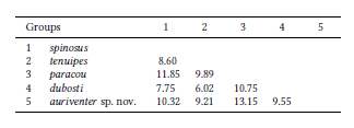 Genetic p-distances in percentages (%) between groups of species recognized within the genus Neacomys.