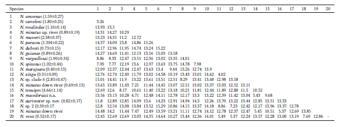 Uncorrected genetic p-distances in percentages (%) between species of Neacomys. The values in parentheses are the intraspecific species variations.