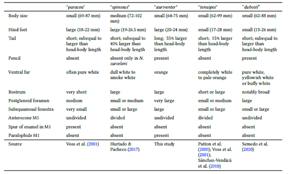 Selected anatomical traits to distinguish morphologically groups of species recognized within Neacomys.